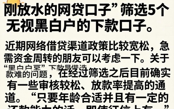 刚放水的网贷口子，筛选5个无视黑白户的下款口子