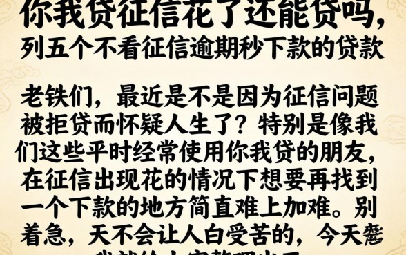 你我贷征信花了还能贷吗,条列五个不看征信逾期秒下款的贷款