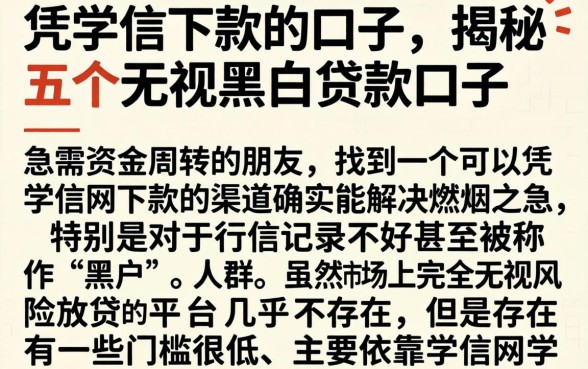 凭学信下款的口子，揭秘五个无视黑白贷款口子