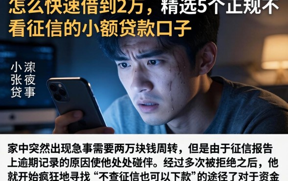 怎么快速借到2万，精选5个正规不看征信的小额贷款口子