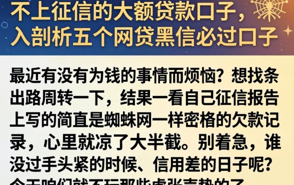 不上征信的大额贷款口子，深入剖析五个网贷黑户必过口子