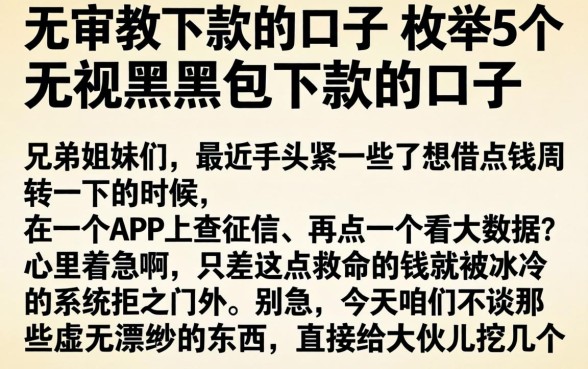 无审核下款的口子,枚举5个无视黑户包下款的口子