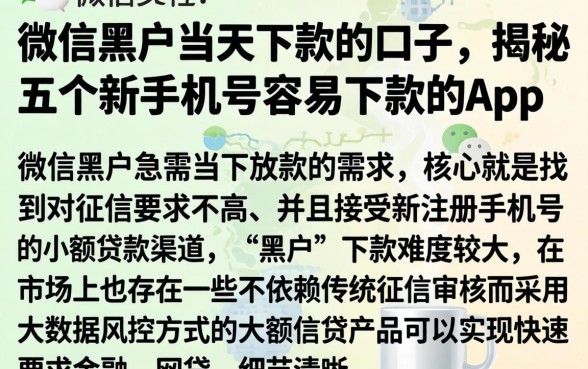 微信黑户当天下款的口子，揭秘五个新手机号容易下款的app