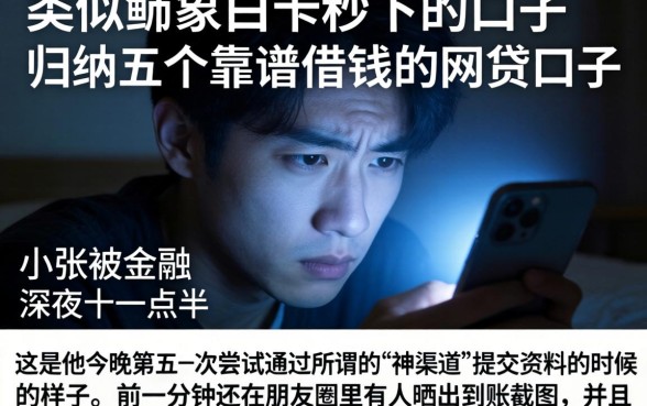 类似鲸鱼白卡秒下的口子，归纳五个靠谱借钱的网贷口子