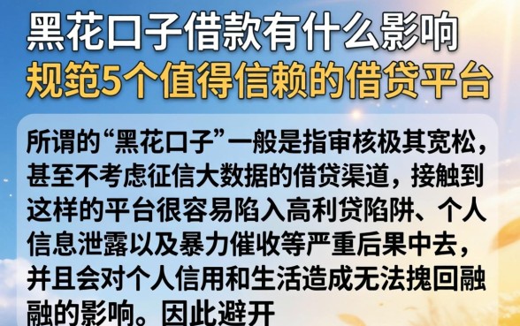 黑花口子借款有什么影响，规整5个值得信赖的借贷平台