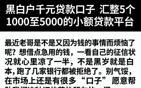 黑白户千元贷款口子，汇整5个1000至5000的小额贷款平台