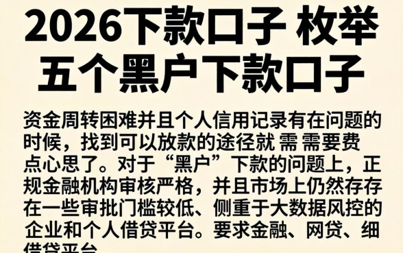 2026下款的口子，枚举五个黑户下款口子