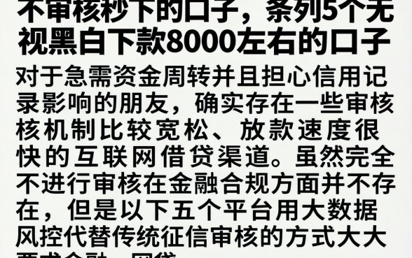 不审核秒下的口子，条列5个无视黑白下款8000左右的口子
