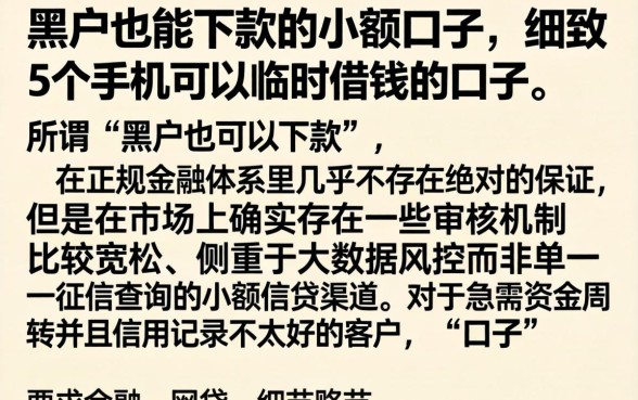 黑户也能下款的小额口子，细致阐述5个手机可以临时借钱的口子