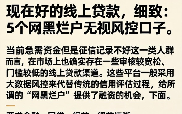 现在好的线上贷款，细致阐述5个网黑烂户无视风控口子