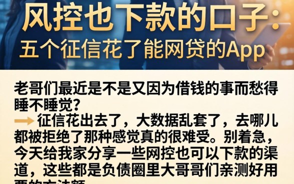 风控也下款的口子，详细阐述五个征信花了能网贷的app