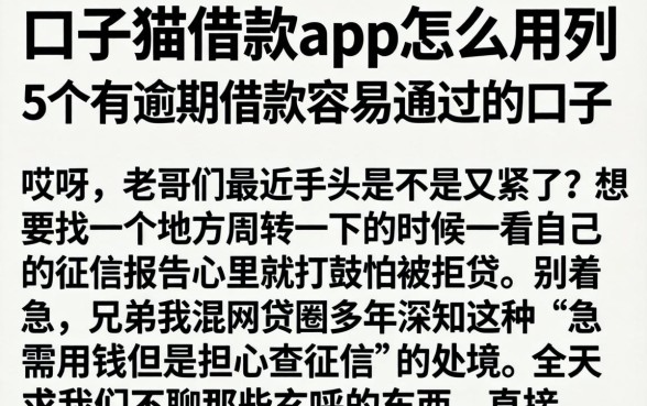 口子猫借款app怎么用，陈列5个有逾期借款容易通过的口子