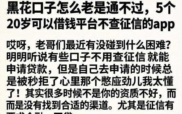 黑花口子怎么老是通不过，详尽说明5个20岁可以借钱平台不查征信的app