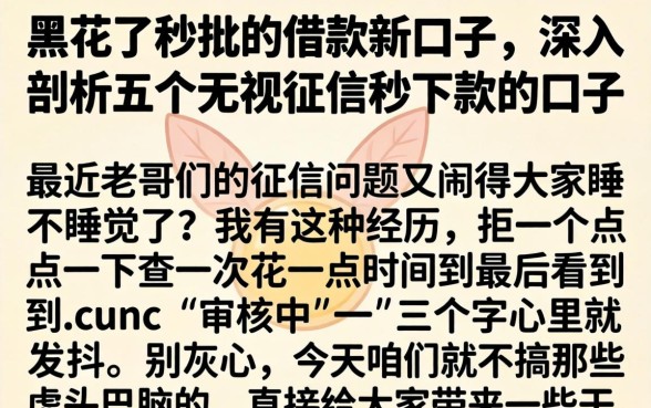 黑花了秒批的借款新口子,深入剖析五个无视征信秒下款的口子