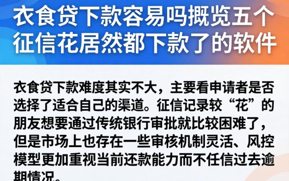衣食贷下款容易吗,概览五个征信花居然都下款了的软件