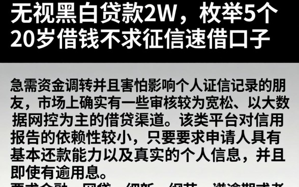 无视黑白贷款2w，枚举5个20岁借钱不求征信速借口子