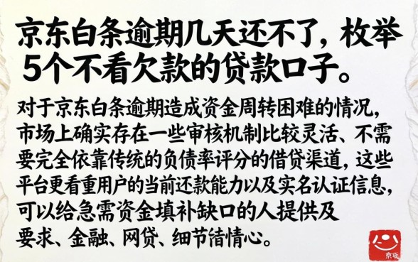 京东白条逾期几天还不了，枚举5个不看欠款的贷款口子