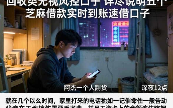 回收类无视风控口子，详尽说明五个芝麻借款实时到账速借口子