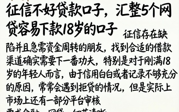 征信不好贷款口子,汇整5个网贷容易下款18岁的口子