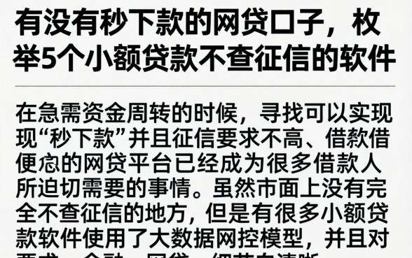 有没有秒下款的网贷口子,枚举5个小额贷款不查征信的软件