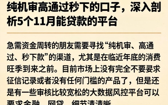 纯机审高通过秒下的口子，深入剖析5个11月能贷款的平台