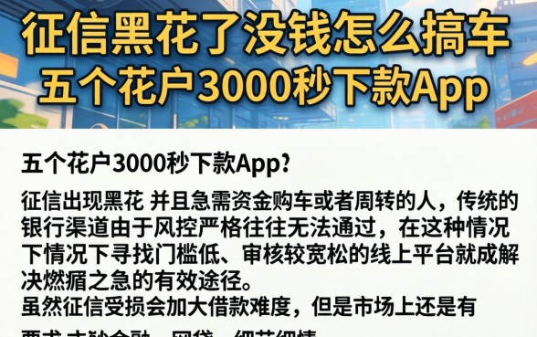 征信黑花了没钱怎么搞车,详细阐述五个花户3000秒下款app