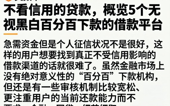 不看信用的贷款的，概览5个无视黑白百分百下款的借款平台