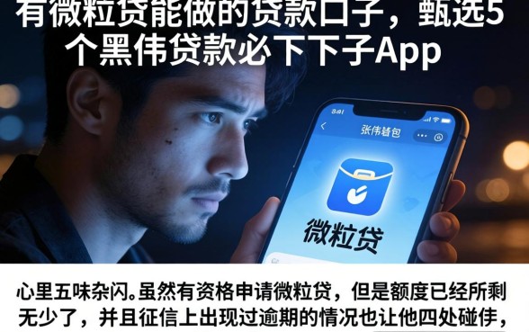 有微粒贷能做的贷款口子，甄选5个黑户贷款必下口子app