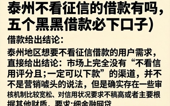 泰州不看征信的借款有吗，详细阐述五个黑户借款必下口子