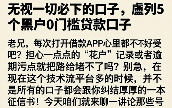无视一切必下的口子,胪列5个黑户0门槛贷款口子