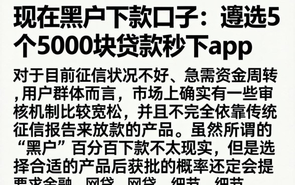 现在黑户下款口子,遴选5个5000块贷款秒下app