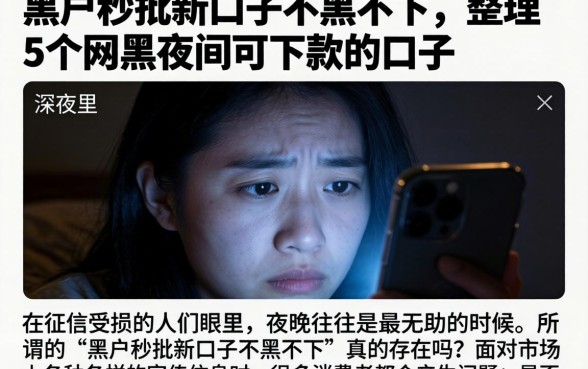 黑户秒批新口子不黑不下，整理5个网黑夜间可下款的口子