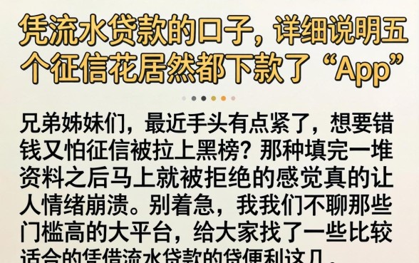 凭流水贷款的口子，详尽说明五个征信花居然都下款了的app