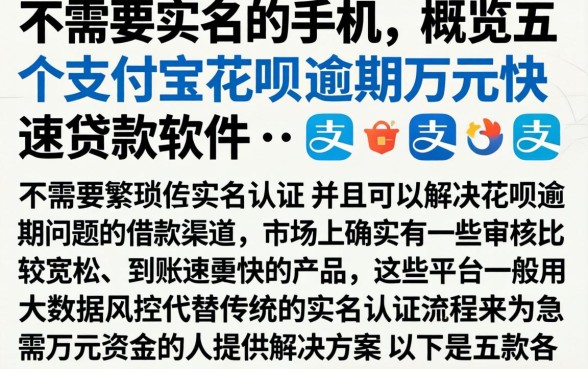 不需要实名的手机,概览五个支付宝花呗逾期万元快速贷款软件