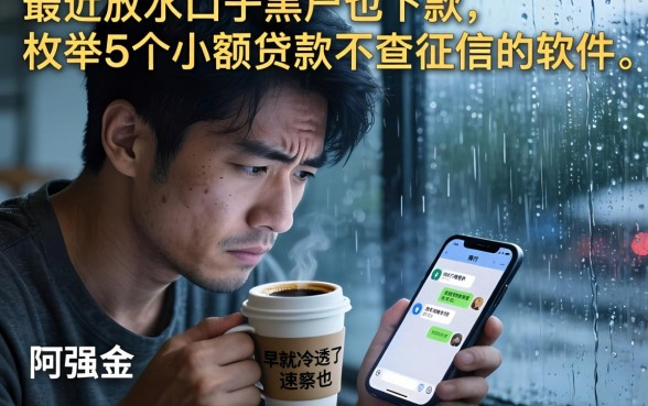 最近放水口子黑户也下款，枚举5个小额贷款不查征信的软件