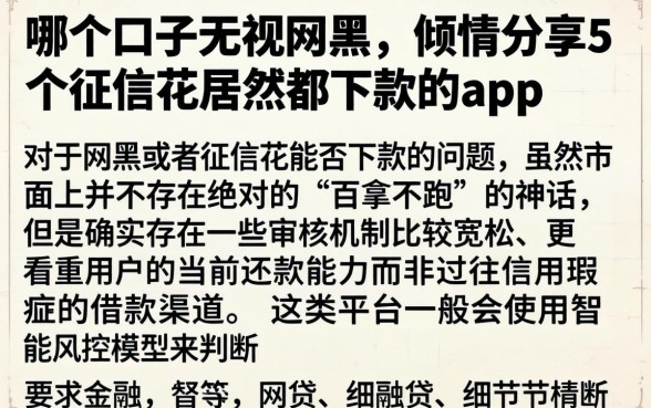 哪个口子无视网黑，倾情分享5个征信花居然都下款的app
