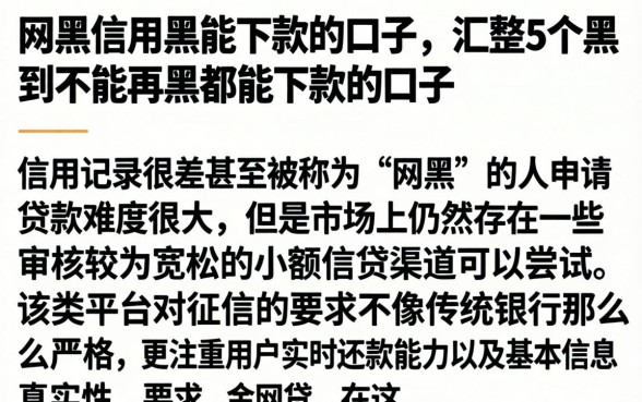 网黑信用黑能下款的口子,汇整5个黑到不能再黑都能下款的口子