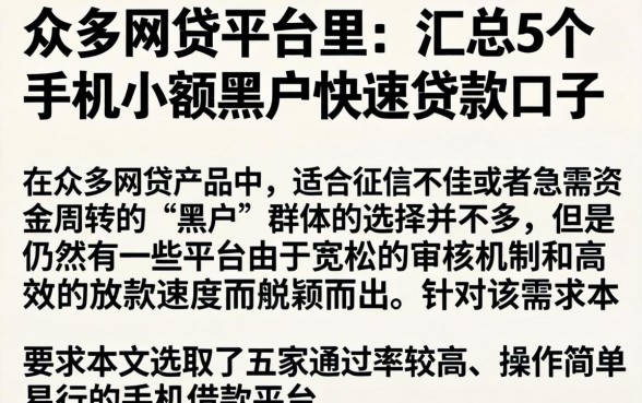 众多网贷平台里,汇总5个手机小额黑户快速贷款口子