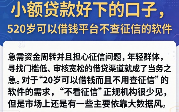 小额贷款好下的口子，详细阐述5个20岁可以借钱平台不查征信的软件