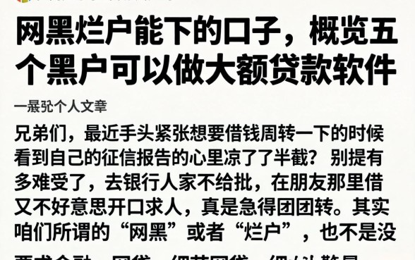网黑烂户能下的口子，概览五个黑户可以做大额贷款软件
