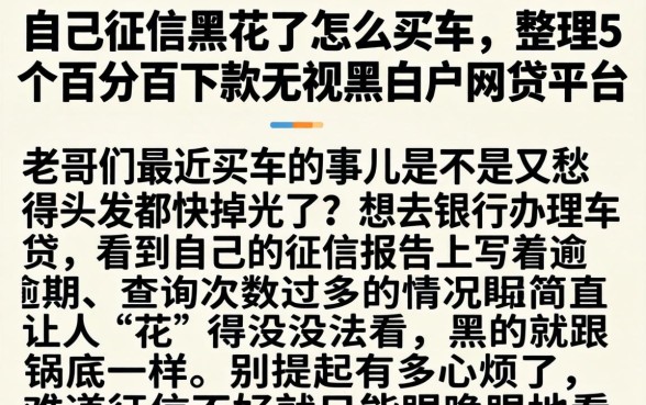 自己征信黑花了怎么买车，整理5个百分百下款无视黑白户网贷平台