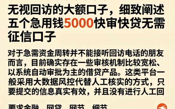 无视回访的大额口子，细致阐述五个急用钱5000快审快贷无需征信口子