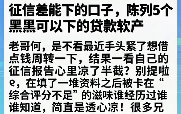 征信差能下的口子，陈列5个黑户可以下的贷款软件