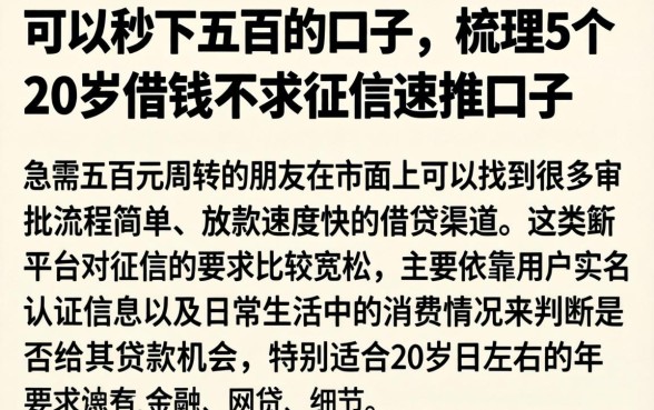 可以秒下五百的口子，梳理5个20岁借钱不求征信速借口子