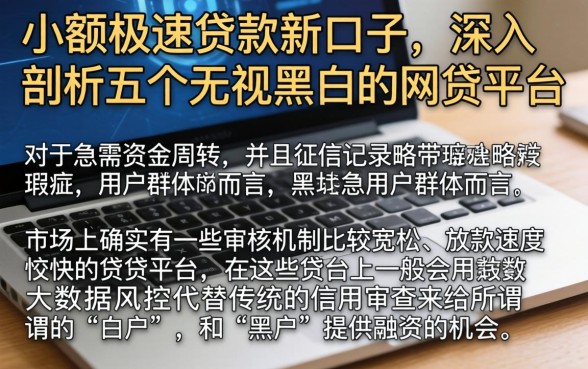 小额极速贷款新口子，深入剖析五个无视黑白的网贷平台