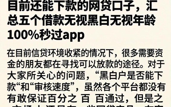 目前还能下款的网贷口子，汇总五个借款无视黑白无视年龄100%秒过app