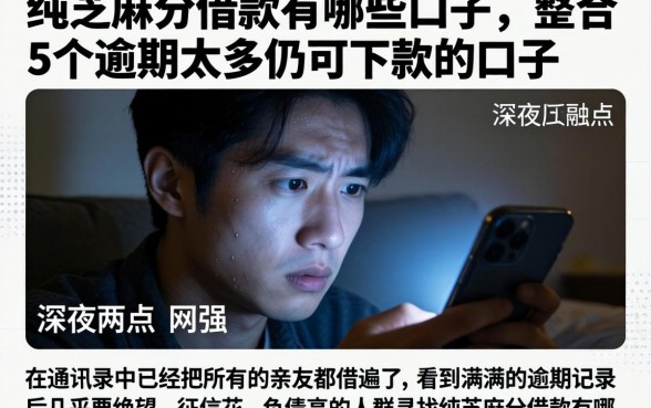 纯芝麻分借款有哪些口子，整合5个逾期太多仍可下款的口子