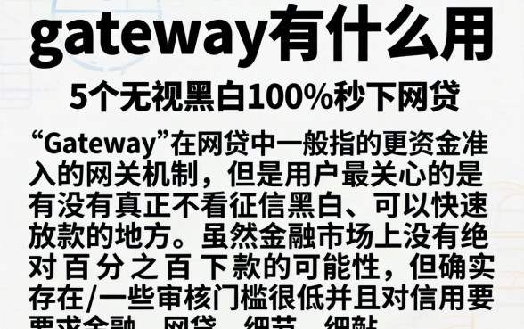 gateway有什么用，枚举5个无视黑白100%秒下网贷