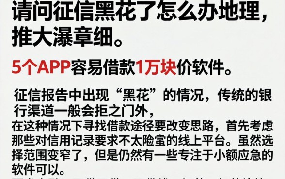 请问征信黑花了怎么办理，细致阐述5个APP容易借款1万块的软件