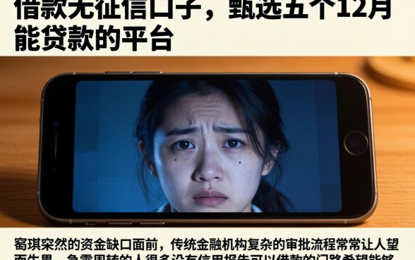借款无征信的口子，甄选五个12月能贷款的平台